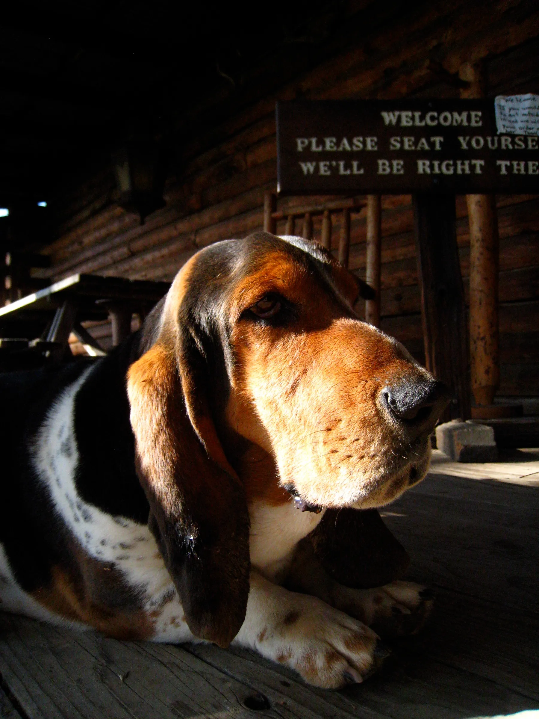 After a BBQ tri-tip sandwich and ortega burger we took some photos (photo 1 of 3)