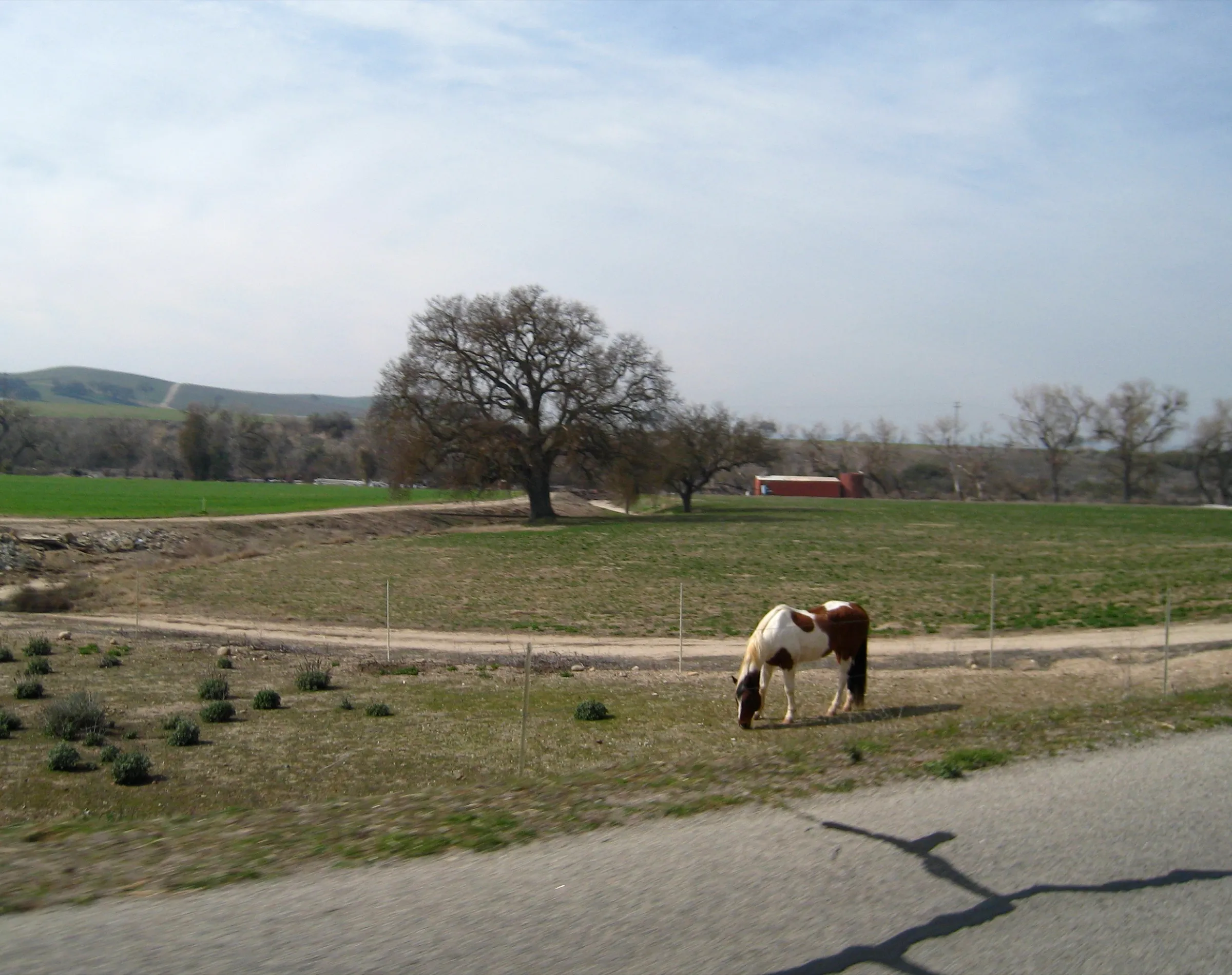 We pop out behind Paso Robles and take Estrella Road for the first time up to San Miguel